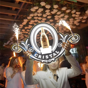 Logo personalizzato di novembre nuovo modello LED champagne Bottle Presenter Glorifier Display <span class=keywords><strong>VIP</strong></span> Service - Product Image 1