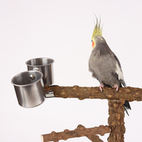 Grossistes Interactif En Bois Naturel Oiseau Perroquet Perchoir Stand Branches Fourchette Jouets Aire De Jeux Jeu En Bois Avec Échelle Et Balançoire
