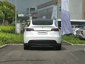 <span class=keywords><strong>Tesla</strong></span> Model Y EV d'occasion abordable, propulsion arrière, moteur unique, autonomie 554 km, pour concessionnaires de voitures d'occasion en Afrique de l'Ouest - Product Image 6