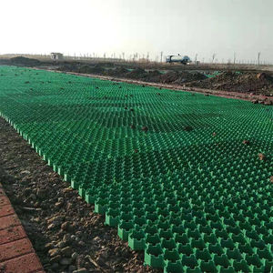 Park Driveway için 100% bakire Hdpe yüksek kaliteli plastik çim ızgara finişerleri - Product Image 4
