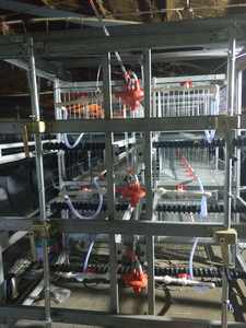 Regulador de Agua de Alta Calidad para Granjas Avícolas, para Jaulas Modernas de Pollos de Engorde y Gallinas Ponedoras - Product Image 5