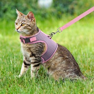 Harnais pour chat rose et gris, sangle de poitrine réglable et respirante pour petits chats avec laisse - Product Image 2