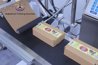 Máquina Etiquetadora Automática de Cajas de Cartón IPS-L902 para Cajas Corrugadas, Cajas de Embalaje y Cajas de Envío