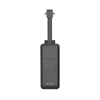 WanWayTech — transmetteur Micro GPS EV02, outil de suivi GPS, avec Mini puce de suivi GPS