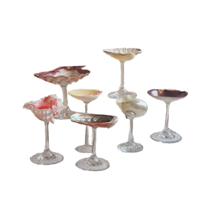 Concha de Turbo Burgess pulida con acabado perla para colección - Conchas marinas de Vietnam más vendidas en varios tipos - Conchas de caracoles marinos - Product Image 1