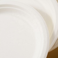 Assiettes en papier de bagasse de canne à sucre jetables écologiques de 6 7 9 10 pouces 100% assiettes compostables pour les fêtes