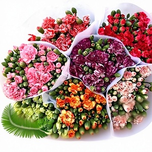Flores de Clavel Dodin Multicabeza al por Mayor, Flores Frescas de Yunnan Duodingkang de Cabello Liso para Navidad y Día de San Valentín - Product Image 1