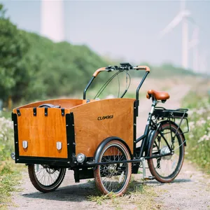 Batterie au Lithium Tricycle Acier Ce Standard Brushless cargo vélo pédale assistance vélo de mobilité EU entrepôt livraison vélo