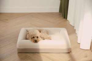 Cama ortopédica grande de lujo para mascotas, tela de lana sintética Premium, camas ortopédicas suaves y cálidas para perros de alta calidad - Product Image 2