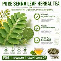 Sachets de thé aux feuilles de séné pour soulager la constipation, détoxifier et favoriser la santé digestive, sans caféine, naturel, usine OEM certifiée ISO22000