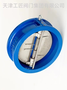 Válvula de Retención Tipo Wafer Dn100 de Proveedor de Fábrica China - Product Image 3