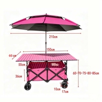 La cabine mobile d'extérieur pour le chariot de vente d'instruments de petite taille est équipée d'un auvent pare-soleil et est fabriquée en matériau 600D