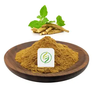 Ekstrak tanaman bubuk ekstrak akar Ashwagandha organik dengan anolamida 2.5% 5% 10% bubuk Ashwagandha ekstrak Ashwagandha