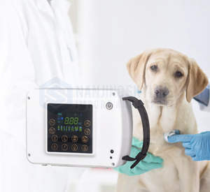 Sistema de Raio-X <span class=keywords><strong>Digital</strong></span> Portátil para Pequenos Animais, Equipamento de Cirurgia Veterinária Reutilizável, Seguro e Durável para Odontologia Canina - Product Image 4