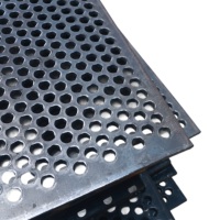 Hochfester Manganstahl Perforiertes Metallgitter für Sandsiebmaschinen und Steinbruch Kreisförmige Vibrationssiebe