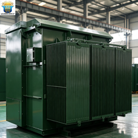 Transformateur triphasé monté sur socle 13,2 kV 480 V 225 kVA 250 kVA immergé dans l'huile, norme ANSI IEEE, transformateur de distribution extérieur