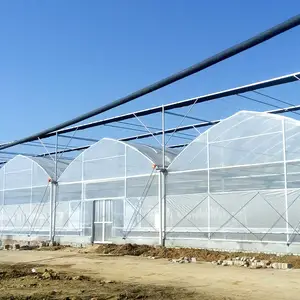 Greenhouses Greenhouse Agricultural Greenhouses Greenhouse Plastic Film Victorian Greenhouse On Sale