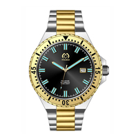 Montre personnalisée automatique en acier inoxydable, montre lumineuse en acier inoxydable pour la plongée, montre de plongée 20 ATM