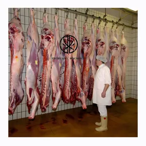 Manzo all'ingrosso 50 carcassa di bestiame attrezzatura per la macellazione del macello pista appesa per carne per il Design del macello