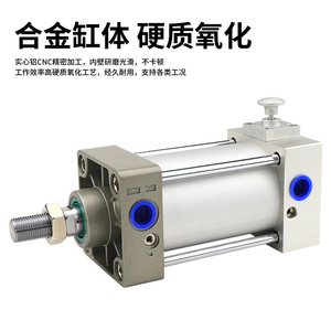 SCLB32/40/50/63/80x50-100-200-300-500S ล็อคหลังแบบมาตรฐาน ล็อคทรงกระบอก ประเภทสินค้า - Product Image 3