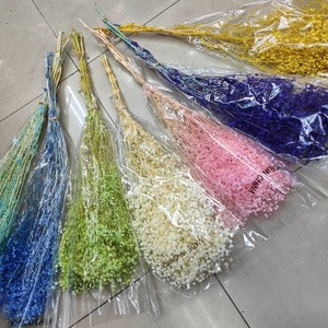 Fiori Secchi Preservati, Bouquet Eterno per Matrimoni, Composizioni Floreali Fai-da-Te per Pasqua, San Valentino, Festa della Mamma, Natale - Product Image 1
