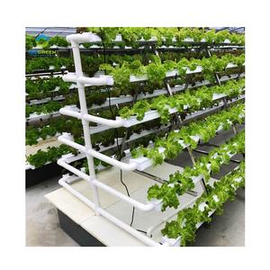 Hydroponic Greenhouse Shelves A-type PVC NFT Pipe Indoor Farm Leaf Vegetable Lettuce Growing <strong>Racks</strong> A Type Frame <strong>Vertical</strong> Nft - Product Image 1