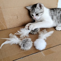 Jouet pour chat : balles pompons douces et légères, interactive, avec queue en fourrure de lapin, tendance