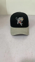 Gorras de béisbol con Águila, borlas personalizadas de marca propia, respetuosas con el medio ambiente