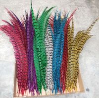 Disfraces de Carnaval Disfraces de Samba Pluma de cola de faisán de cebra
