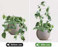 Offre Spéciale : Treillis en Acrylique Transparent Incurvé de 19,7 Pouces pour Plantes d'Intérieur/Extérieur – Piquets à Plantes Personnalisables en Couleurs pour Fournitures de Jardin