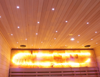 Briques traditionnelles/infrarouges personnalisées de sel de l'Himalaya Briques murales de salle de sauna au sel le plus élevé pour spa