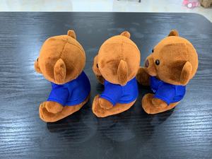 Sampel Gratis Beruang Mewah Hewan Gantungan Kunci Mainan/Mini Teddy Bear dengan T Shirt Logo Percetakan/Custom Logo Promosi bear Gantungan Kunci Mainan - Product Image 6