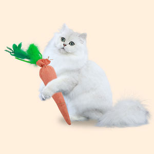 Bán buôn Dễ Thương Vải làm vách ngăn chất liệu cà rốt với catnip Pet mèo Chew đồ chơi PP bông mèo đồ chơi sang trọng Linen catnip Pet Nguồn cung cấp - Product Image 4