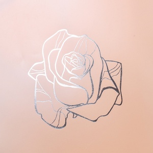 Customizable <b>Transparent</b> PVC Gift <b>Bags</b> Rectangle Side Gusset Plastic <b>Bags</b> with Moisture Proof Feature Printed <b>Bags</b> - Product Image 3