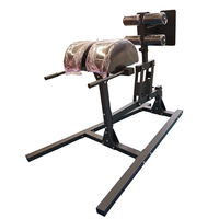 Nouvelle conception de machine d'extension dorsale Roman Chair réglable GHD, équipement de fitness pour la maison et le commerce, pour l'entraînement du tronc
