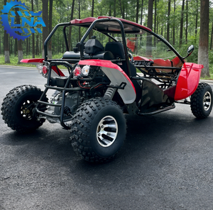 Buggy robuste LNA 300cc tout-terrain, adapté aux plaines de Salt Lake et aux arches du désert - Product Image 3