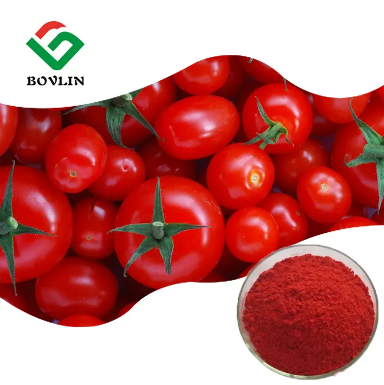 100% Natural Tomato Powder Bulk Price Spray Dried Tomato Extract Powder