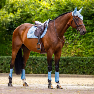 Ensemble assorti d'accessoires équestres écologiques en gros : tapis de selle rembourré, bonnet anti-mouches, cache-oreilles, brosses et bottes pour <span class=keywords><strong>chevaux</strong></span> - Product Image 2