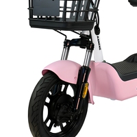 Vélo électrique à cadre basse avec panier avant et siège passager arrière pour adultes, idéal pour les trajets urbains