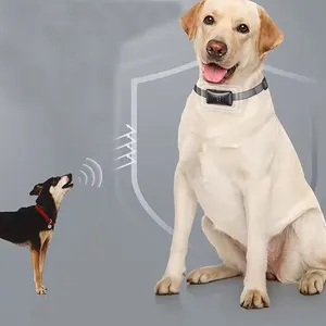 Anti-Bellt-Anti-Bellt-Ultraschallhunde Training abschreckung Steuerungseinrichtung Hundehalsband