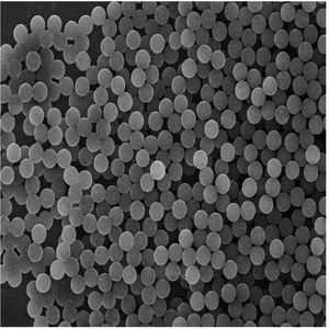 Microsphères magnétiques tolylées pour l'immobilisation des protéines, pour un couplage et une bioséparation de biomolécules à haute efficacité - Product Image 1