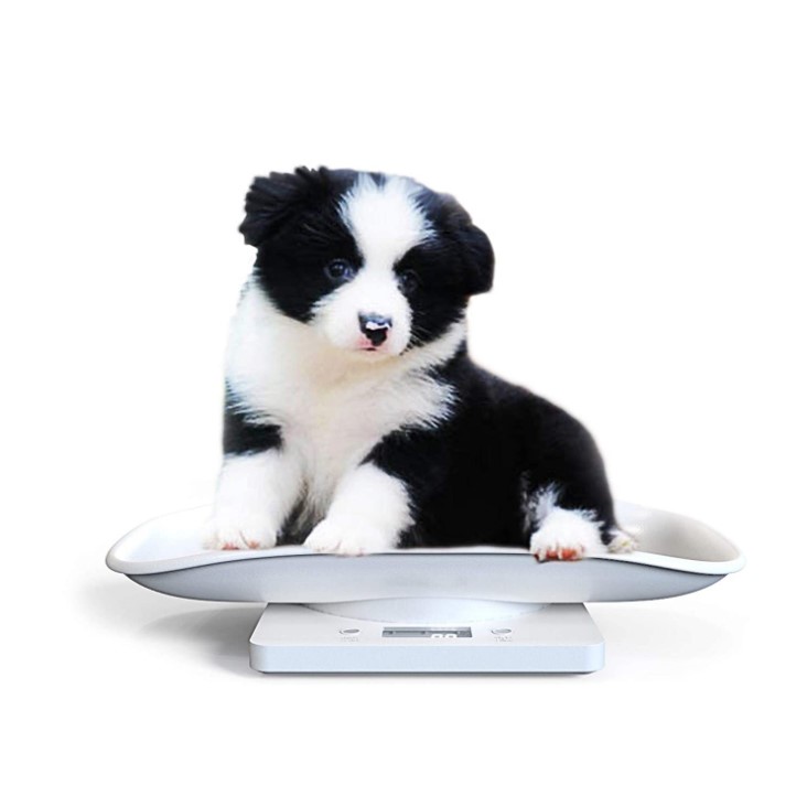 Newborn Baby Pet Digital Weight Scale - 10kg/1g Capacity, Big Blue LED Display, 2-Year Warranty