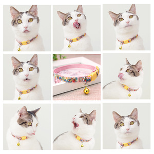 Custom cat <b>collars</b>, cute cat bell necklaces, cat neck <b>collars</b>, anti-lock safety neck braces, decorative cat supplies. - Product Image 4
