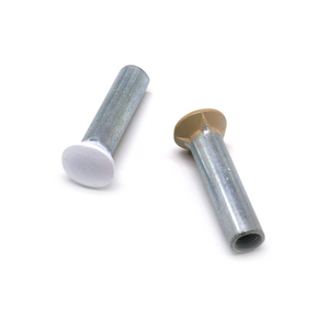 Tùy chỉnh thép không gỉ chịu nhiệt ISO chứng nhận nướng véc ni đầu đinh tán rỗng phẳng đầu Sơn đầu - Product Image 6