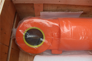Cilindro de Brazo de Pluma y Cucharón (Conjunto) ZX450 EX450 ZX450-3 EX450-3, Repuestos para Excavadoras Hitachi de Maquinaria de Construcción - Product Image 1