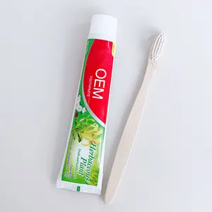 Hữu cơ thảo dược kem đánh răng cho người lớn du lịch khách sạn nhà sử dụng kem đánh răng nhà máy ở Quảng Châu kem đánh răng tự nhiên