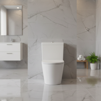 WC monobloc moderne en céramique blanche à double chasse, cuvette allongée sans bride, à poser au sol, avec siphon en P ou en S, pour la maison ou les hôtels