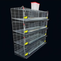Cage d'élevage automatique pour cailles avec nettoyage automatique du fumier - Système de cage d'élevage avicole automatique