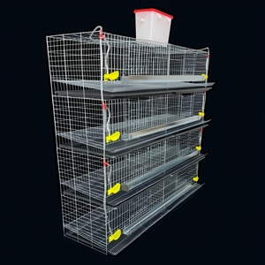 Cage d'élevage <span class=keywords><strong>automatique</strong></span> pour cailles avec nettoyage <span class=keywords><strong>automatique</strong></span> du fumier - Système de cage d'élevage avicole <span class=keywords><strong>automatique</strong></span> - Product Image 3