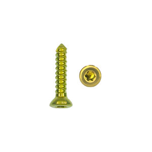 Vis à blocage ALPS de 2,4 mm en titane, approuvées CE ISO, <span class=keywords><strong>pour</strong></span> implants orthopédiques vétérinaires, vis chirurgicales osseuses équines <span class=keywords><strong>pour</strong></span> <span class=keywords><strong>chevaux</strong></span> - Product Image 4